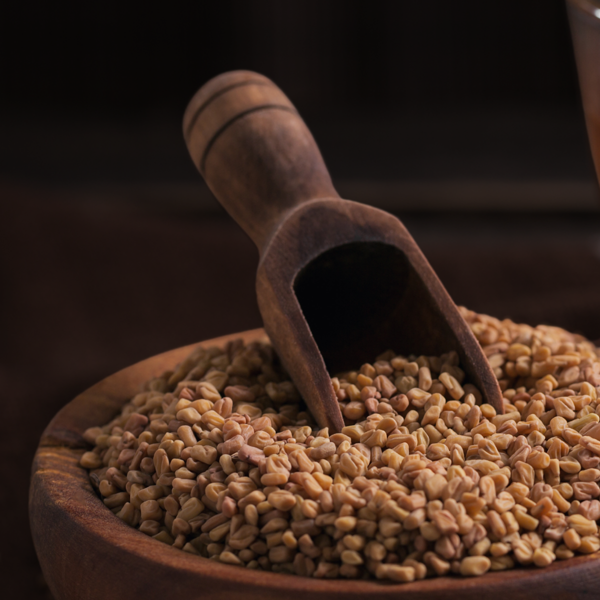 Fenugreek Seed Extract