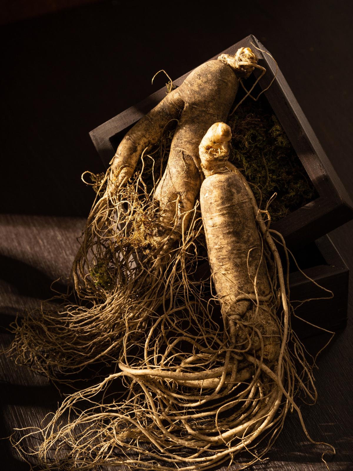 ginseng extract