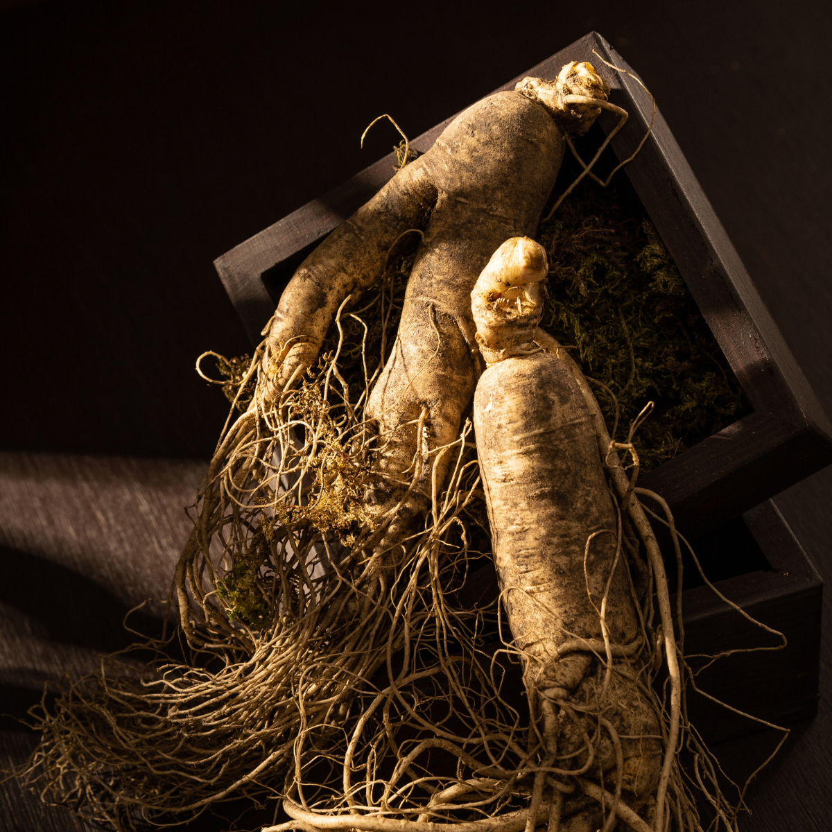 Ginseng extract